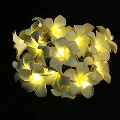 LEDMOMO Flor Guirnalda Luminosa Bateria Operado Cadena de Luces 20 LED Frangipani Plumeria Flor Decoración (Luz Blanca Cálida)