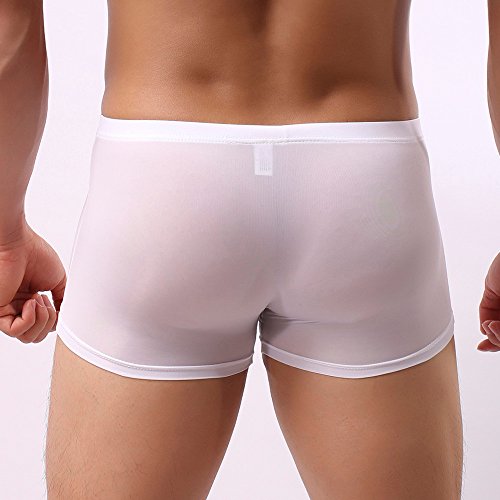 LOPILY Color sólido Elefante Calzoncillos Ropa Interior Bolsa Lencería Boxer de Seda de Hielo Masculino Traje de Baño Playa Escritos del triángulo Ultrafino Transpirables(Blanco,L)