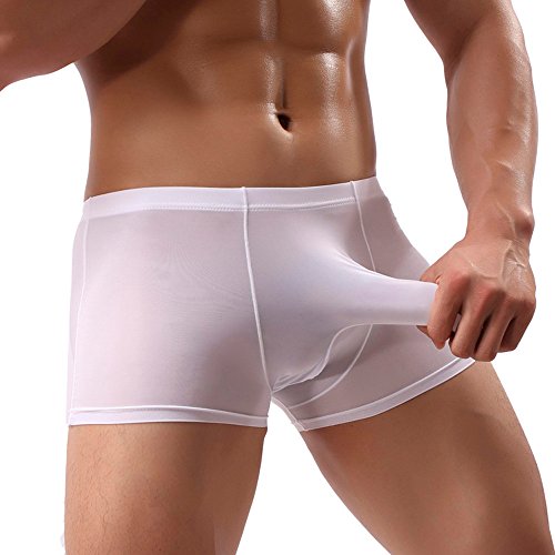 LOPILY Color sólido Elefante Calzoncillos Ropa Interior Bolsa Lencería Boxer de Seda de Hielo Masculino Traje de Baño Playa Escritos del triángulo Ultrafino Transpirables(Blanco,L)