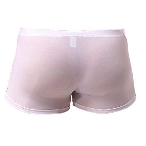 LOPILY Color sólido Elefante Calzoncillos Ropa Interior Bolsa Lencería Boxer de Seda de Hielo Masculino Traje de Baño Playa Escritos del triángulo Ultrafino Transpirables(Blanco,L)