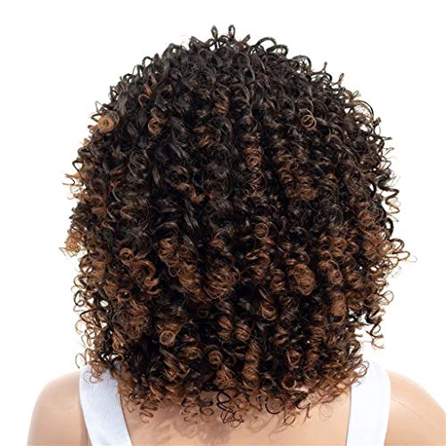 LXJ Peluca Afro, Alambre de Alta Temperatura, Pelo Corto y Rizado, Pelucas Naturales esponjosas, Tocado, Cabello Permanente, Apto para Mujeres Negras, Uso Diario, 20 Pulgadas / 50 cm, marrón