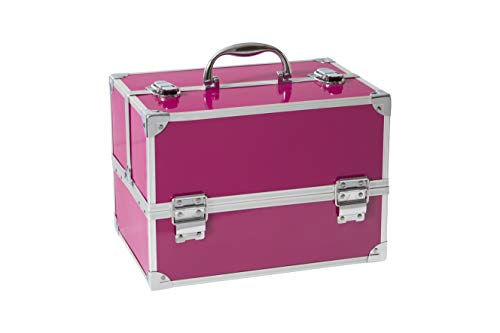 Maletín de Maquillaje Professional Color Pink Train Case - The Color Workshop - Un Kit de Maquillaje Profesional Completo en un Gran Maletín Plateado y Elegante para Llevar Siempre Contigo