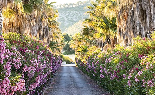 Mallorca - Michael Poliza (Photographer) [Idioma Inglés]