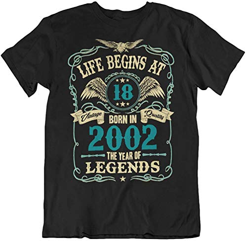 Mens 18th Birthday Gift - Life Begins at 18 Mens T-Shirt - Born in 2002 (Medium, Black)