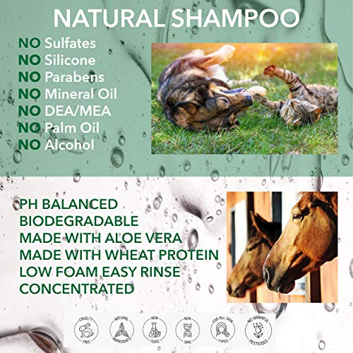 Natural - CHAMPÚ para Perros - SIN Perfume & Vegano - 250ml - por Poo Free - Sin Sulfatos, Sin Parabenos, Sin Silicona. Concentrado, Limpia, Calma, Hidrata, Alivia.