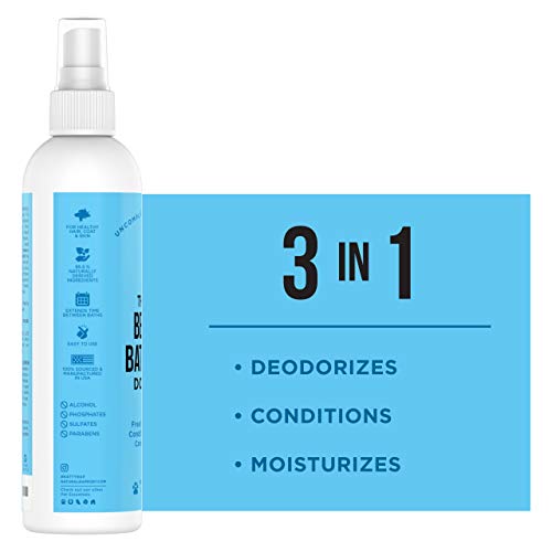 Natural Rapport Colonia Perro Macho – Espray Desodorante Acondicionador Perro Uso Entre Baños – Perfume Elimina Olor a Orina de Mascotas – Neutralizador de Olores Entre Baños para tu Perro