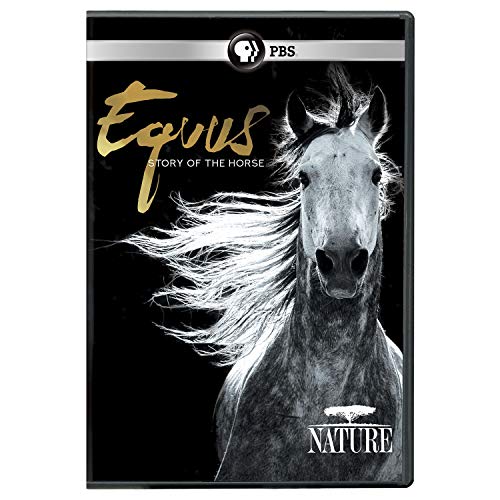 Nature: Equus - Story Of The Horse [Edizione: Stati Uniti] [Italia] [DVD]