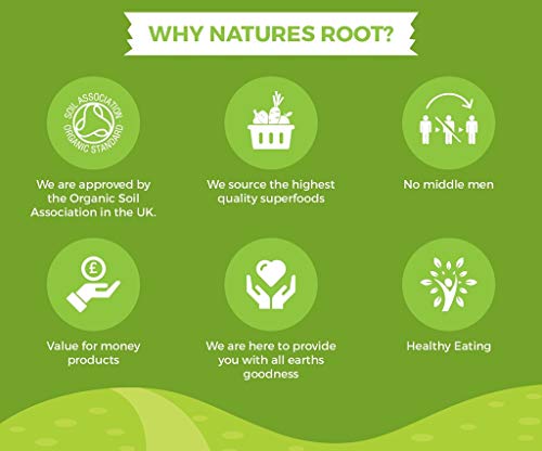 Natures Root - Aritha orgánico en polvo - certificado 100 % natural - Para champú y acondicionador de cabello orgánicos - Remedio herbal para el cabello, ayurveda