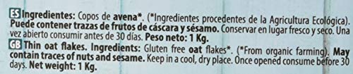 NaturGreen Copos de Avena Finos Sin Gluten Bio 1Kg - Pack de 6 unidades de 1Kg