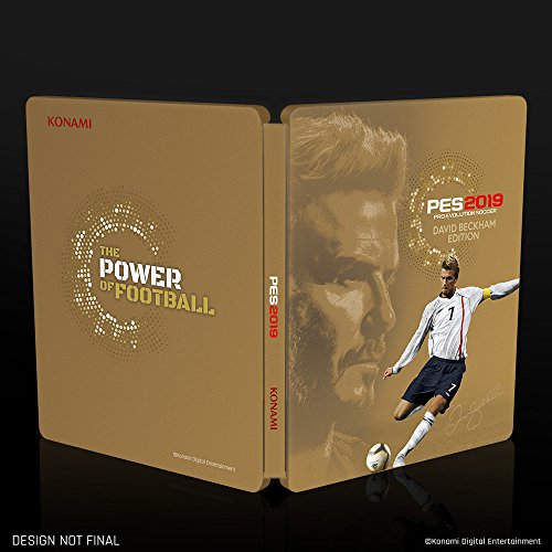 PES 2019 David Beckham Edition - PlayStation 4 [Importación alemana]