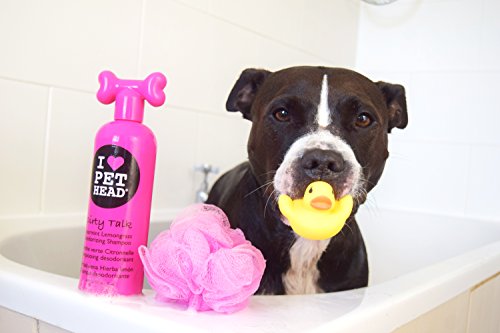 Pet Head Dirty Talk Deodorizing Shampoo