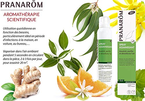 Pranarom Spray Purificador - Desinfecta, Purifica y Sanea E 100 g