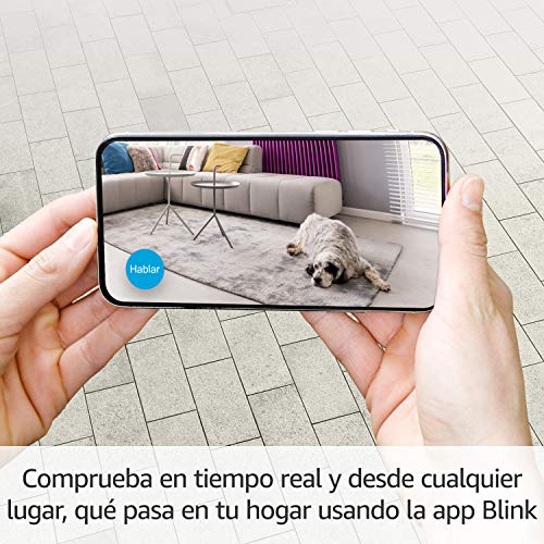 Presentamos la Blink Mini, cámara de seguridad inteligente, compacta, para interiores, con enchufe, resolución de vídeo HD 1080p, detección de movimiento y compatible con Alexa – 1 Cámara