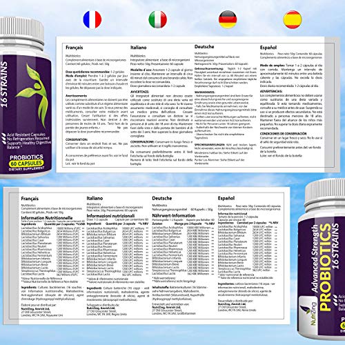 Probiótico Fórmula de Amplio Espectro - 16 Cepas - Lactobacilos y Bífidobacterias y Streptococcus - 60 Cápsulas de Liberación Prolongada- 100% Vegano Probioticos por NutriZing