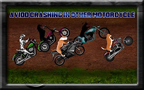 rolling salvaje carrera de motos de perro: el mal en la aventura de hueso - edición gratuita