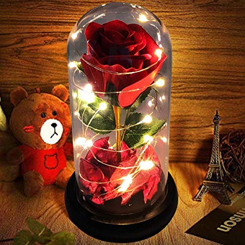 Rosa eterna en cúpula de cristal, rosa preservada en cúpula modelo La Bella y la Bestia, con luz led; regalo para el Día de la Madre, cumpleaños, bodas, aniversarios