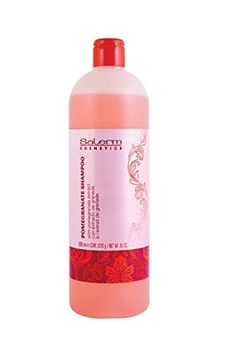 Salerm Pomegranate Champu 1000ml + Salerm21 Acondiconador Proteina de Seda 100ml