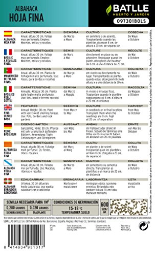 Semillas Aromáticas - Albahaca de hoja fina - Batlle