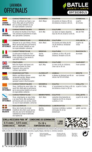Semillas Aromáticas - Lavanda officinalis - Batlle