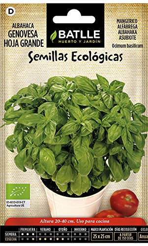 Semillas Ecológicas Aromáticas - Albahaca Gigante Genovese - ECO - Batlle