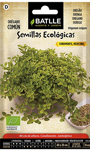 Semillas Ecológicas Aromáticas - Orégano Común - ECO - Batlle