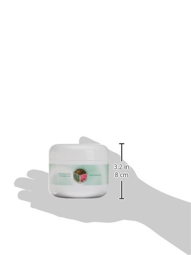 Simbiosis 150020 - Crema antiarrugas con aloe, baba de caracol y rosa mosqueta