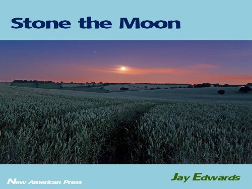 Stone the Moon (English Edition)