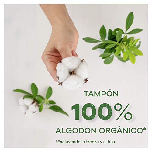 Tampax Cotton Protection Regular Con Aplicador 96 x, Tampones De Algodón Orgánico De Tampax