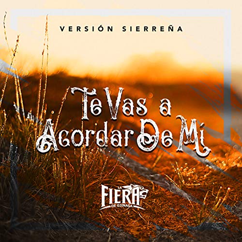 Te Vas a Acordar de Mí (Sierreña)