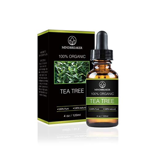 Tea Tree Essential Oil 100% puro y natural grado terapéutico: el mejor paquete de regalo para hombres y mujeres 120ml (4 oz)