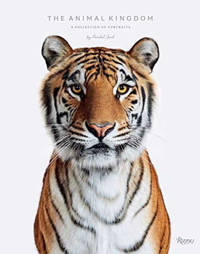 The animal kingdom: a collection of portraits