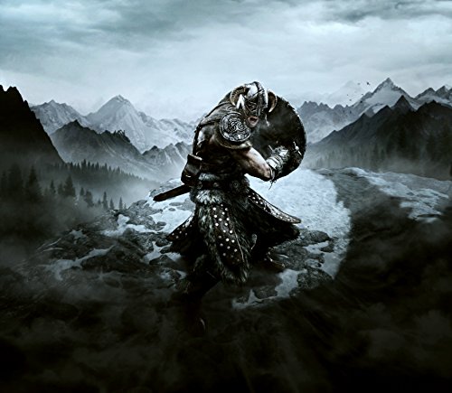 The Elder Scrolls: SKYRIM VR