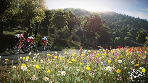 Tour de France 2019 Juego PS4