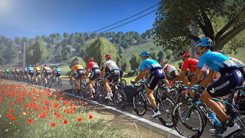 Tour de France 2019 Juego PS4