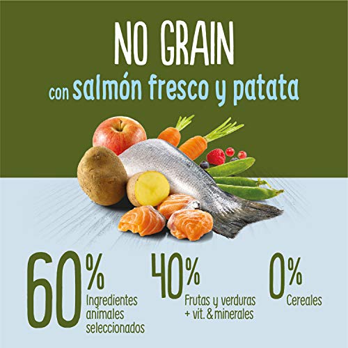 True Instinct No Grain Pienso para Perros Medium Adult con Salmón - 2000 gr