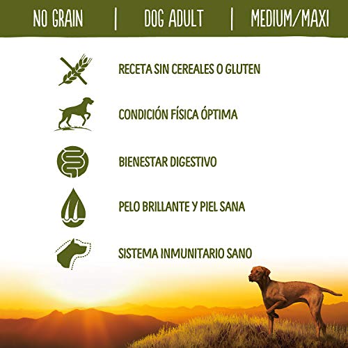 True Instinct No Grain Pienso para Perros Medium Adult con Salmón - 2000 gr