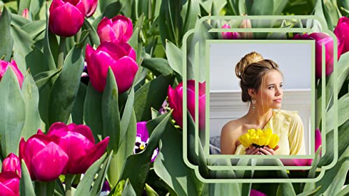 Tulips Photo Frames