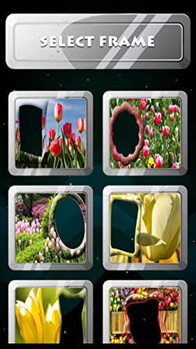 Tulips Photo Frames