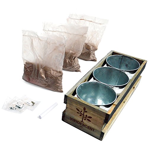 Viridescent Jardín de Hierbas Interior Caja de Madera Jardinera para alfeizar de Cocina - El Kit Contiene Todo lo Que Necesita para Cultivar Sus propias Hierbas Frescas