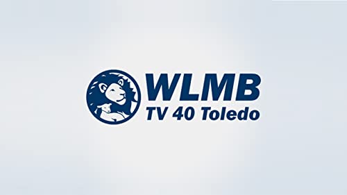 WLMB-TV 40