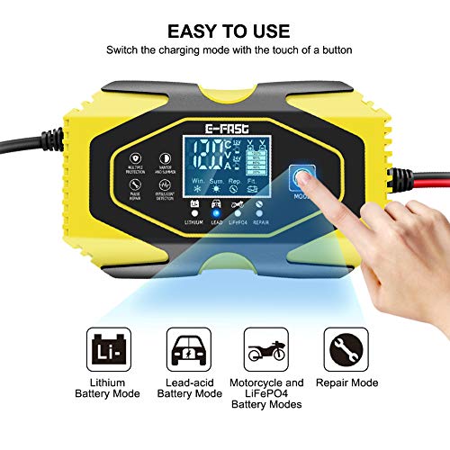 YDBAO Cargador de Baterías Coche Moto 6A 12V/24V con Múltiples Protecciones Automático Inteligente Mantenimiento Pantalla LCD para Batería de Litio Plomo-ácido LiFePO4