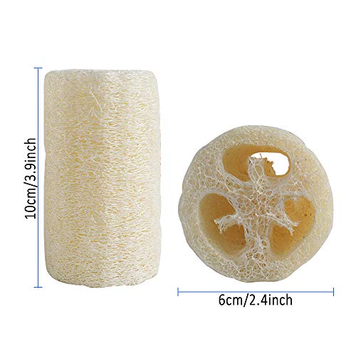 8 PCS Natural Loofahs Loofah Sponges Loofah Spa Exfoliante Exfoliante Gel de baño Esponja Quitar la piel muerta para el spa Ducha corporal Cuidado diario de la piel