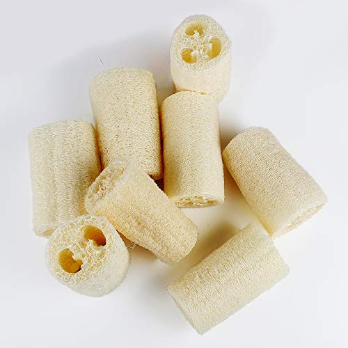 8 PCS Natural Loofahs Loofah Sponges Loofah Spa Exfoliante Exfoliante Gel de baño Esponja Quitar la piel muerta para el spa Ducha corporal Cuidado diario de la piel