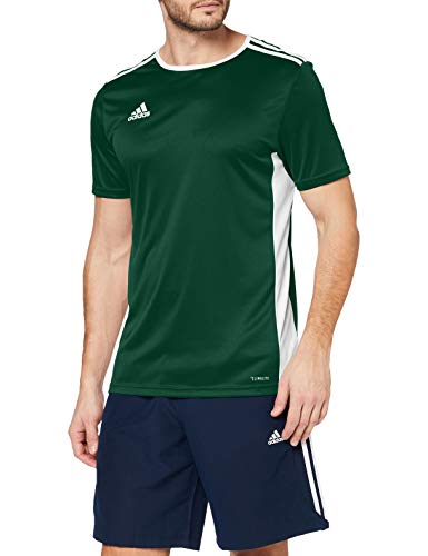 adidas Entrada 18 JSY T-Shirt, Hombre, Collegiate Green/White, S