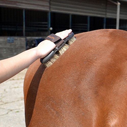 Animalon CareFlex - Cepillo para raíces de pelo natural con cerdas naturales duras, flexible, ergonómico y de alta calidad