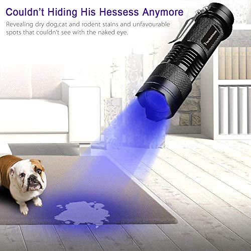 Antorcha de linterna UV, un modo 300LM Zoomable 396nm UV-Ultraviolet LED Blacklight para la detección de manchas de perros mascotas Comprobación de pasaporte Dinero, cosmética y más