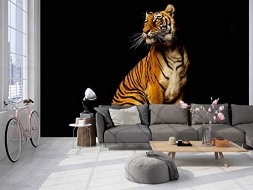 awallo DD105448 Majestätischer Tiger - Papel pintado fotográfico (400 x 250 cm), diseño de tigre