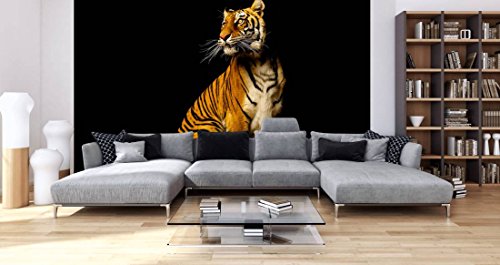 awallo DD105448 Majestätischer Tiger - Papel pintado fotográfico (400 x 250 cm), diseño de tigre