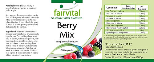 Bayas Mix - Selección de 8 bayas + Alga Spirulina platensis - VEGANO - Dosis elevada - 120 Cápsulas - Calidad Alemana