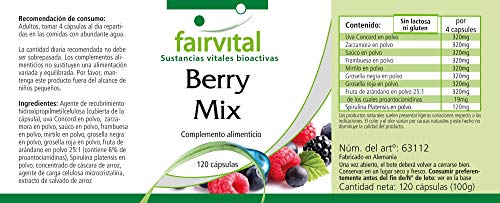 Bayas Mix - Selección de 8 bayas + Alga Spirulina platensis - VEGANO - Dosis elevada - 120 Cápsulas - Calidad Alemana